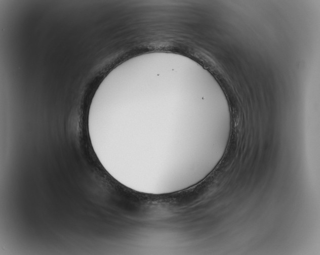 X0000088680732200706281942