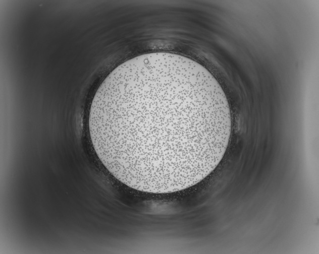 X0000088680733200706281942