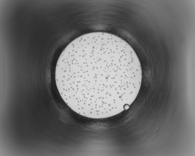 X0000088680734200706281942