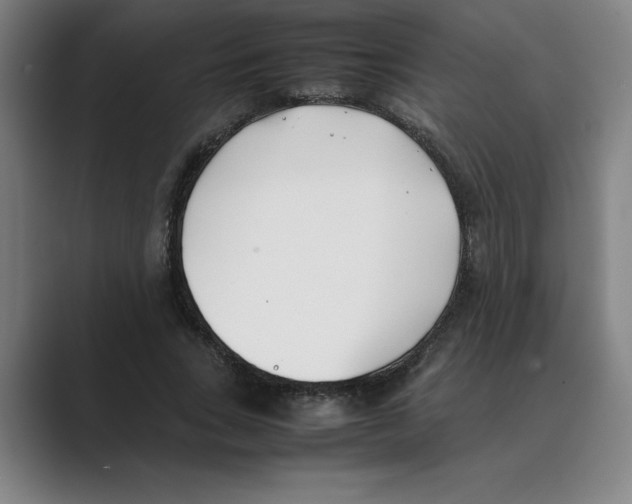 X0000088680735200706281942