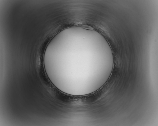 X0000088680740200706281942