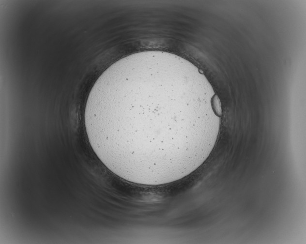 X0000088680741200706281942