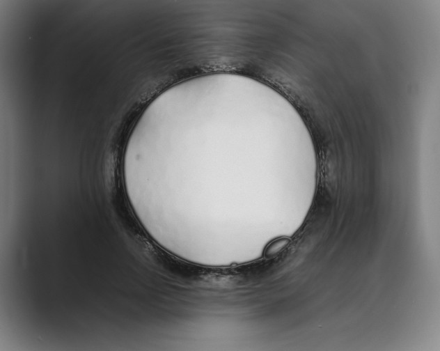 X0000088680742200706281942