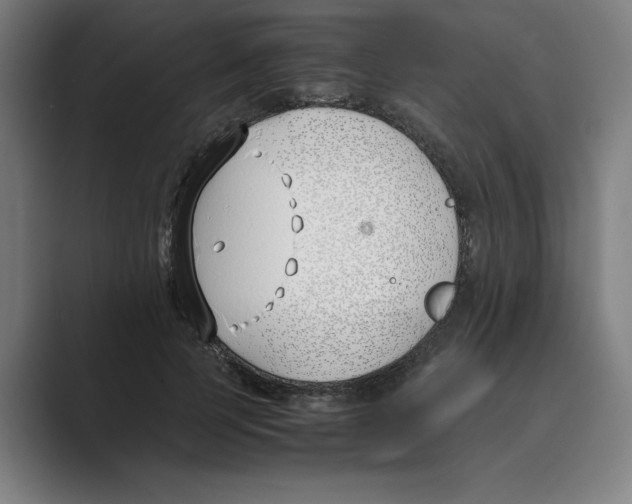 X0000088680745200706281942