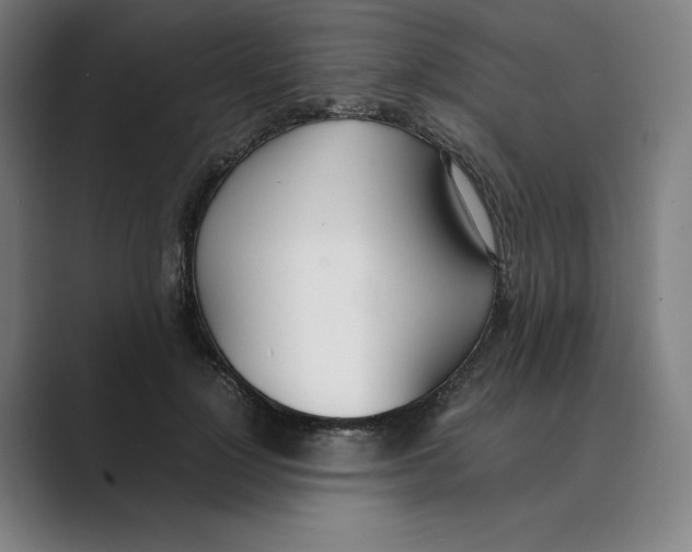 X0000088680748200706281942