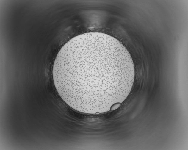 X0000088680749200706281942