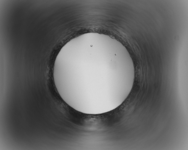 X0000088680750200706281942