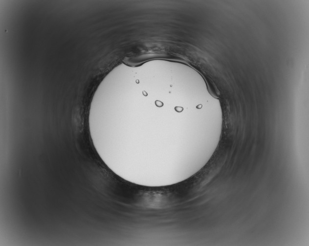 X0000088680751200706281942