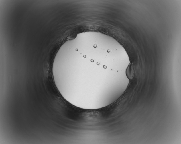 X0000088680752200706281942