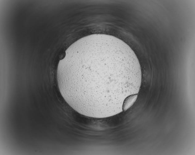 X0000088680753200706281942