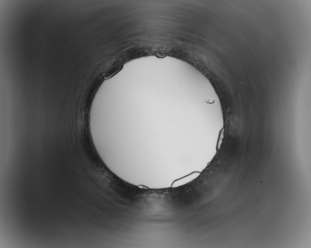 X0000088680756200706281942