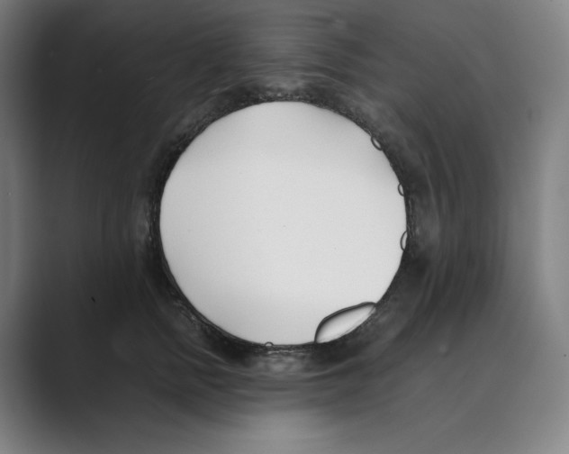 X0000088680758200706281942