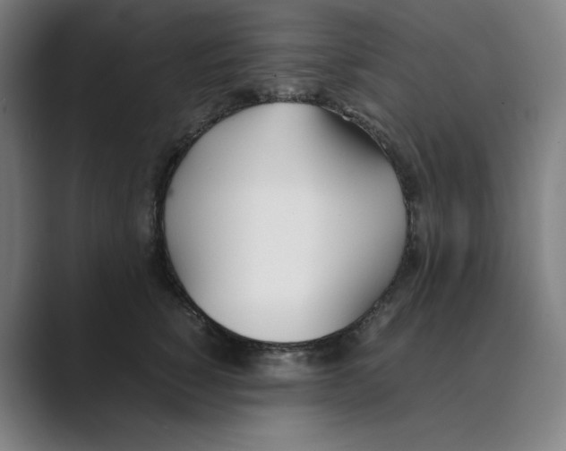 X0000088680760200706281942