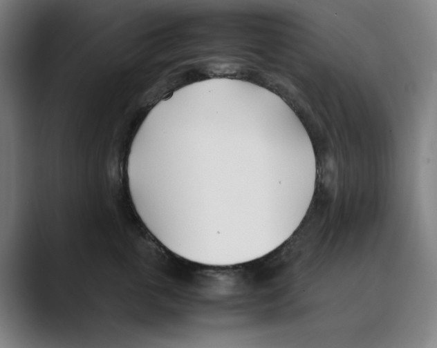 X0000088680763200706281942