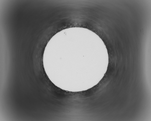 X0000088680769200706281941