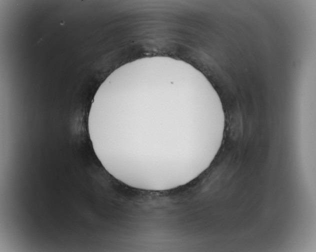 X0000088680770200706281941