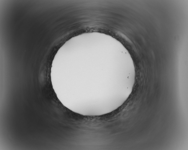 X0000088680775200706281941