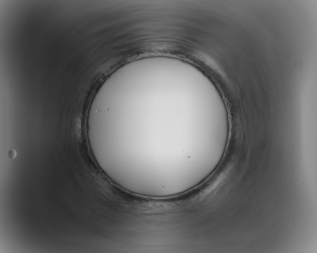 X0000088680777200706281941