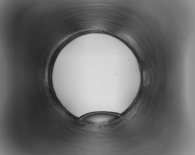 X0000088680780200706281941