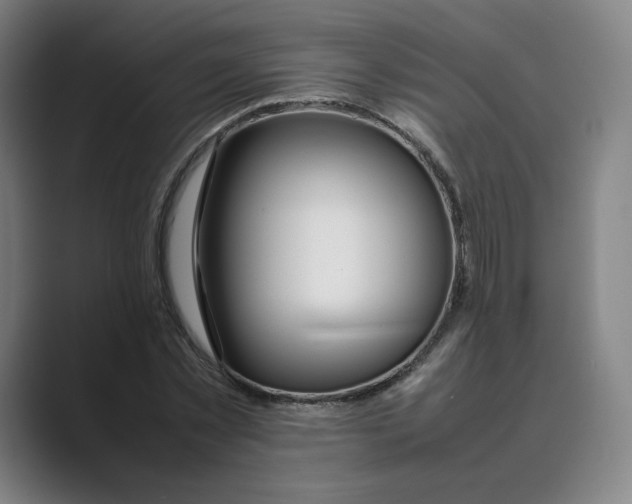 X0000088680781200706281941