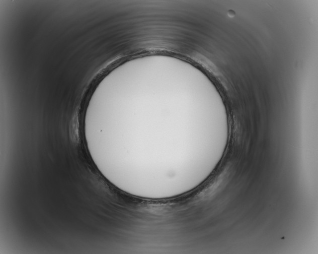 X0000088680782200706281941