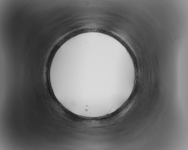 X0000088680783200706281941