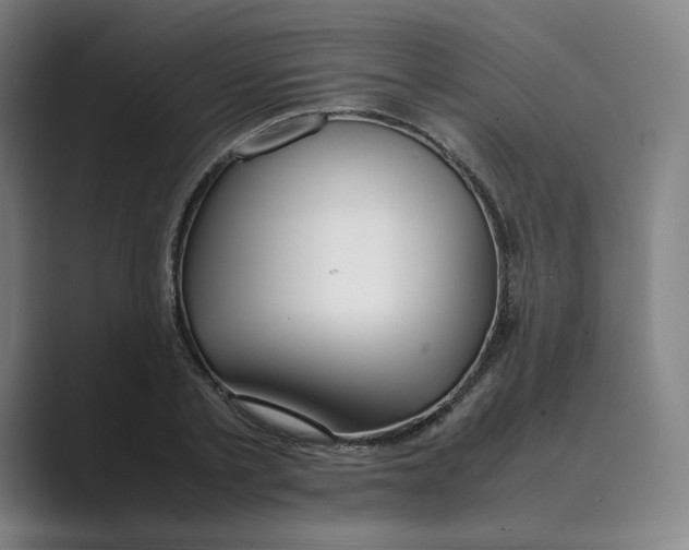 X0000088680789200706281941