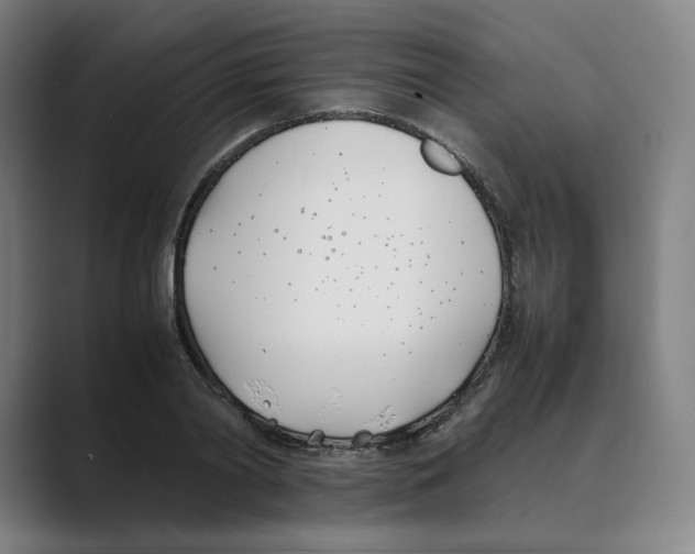 X0000088680790200706281941