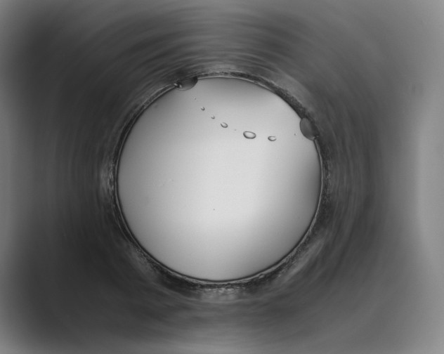 X0000088680793200706281941