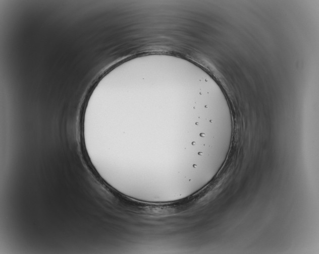 X0000088680795200706281941