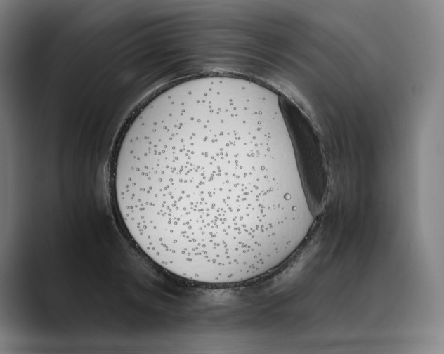 X0000088680798200706281941