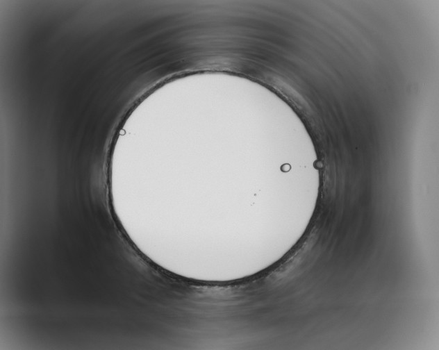 X0000088680800200706281941