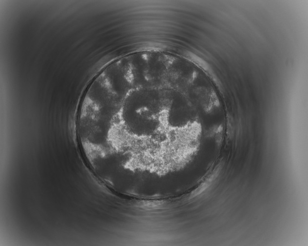 X0000088680802200706281941