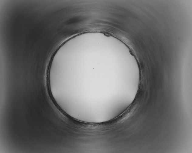 X0000088680803200706281941