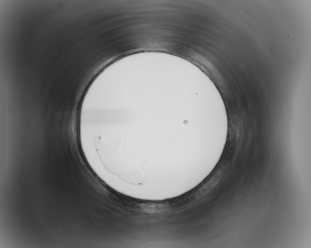 X0000088680804200706281941