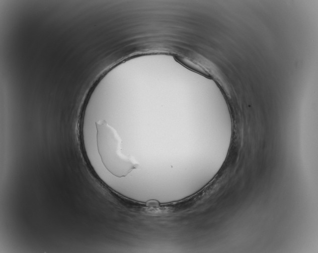 X0000088680805200706281941