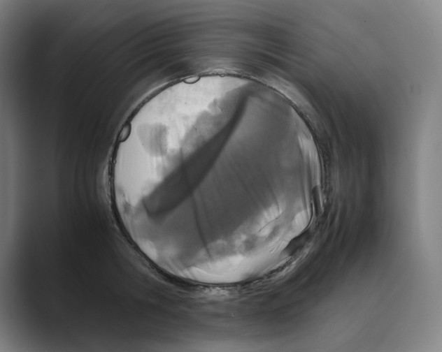 X0000088680806200706281941