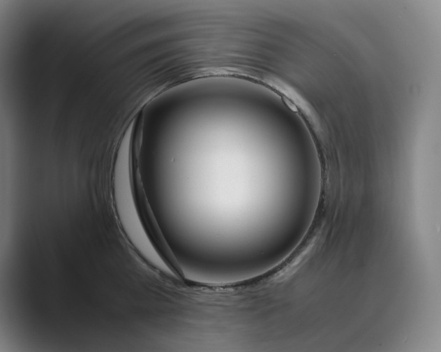 X0000088680809200706281941