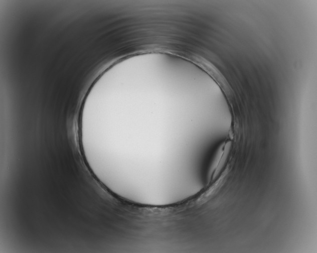 X0000088680812200706281941