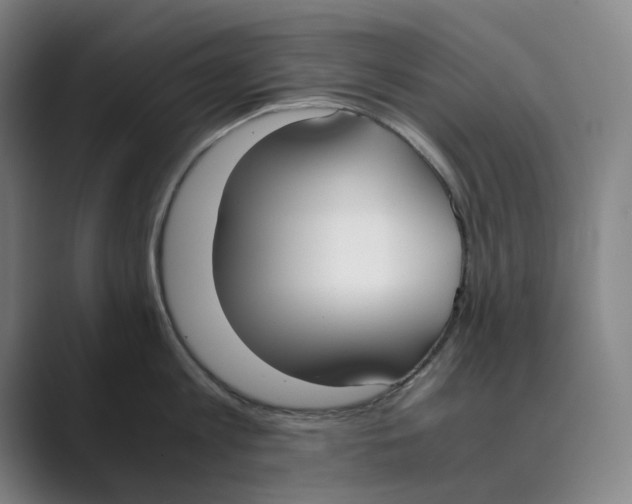 X0000088680813200706281941