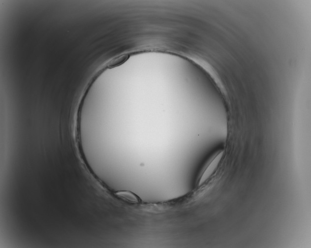 X0000088680815200706281941