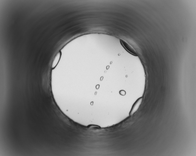 X0000088680816200706281941