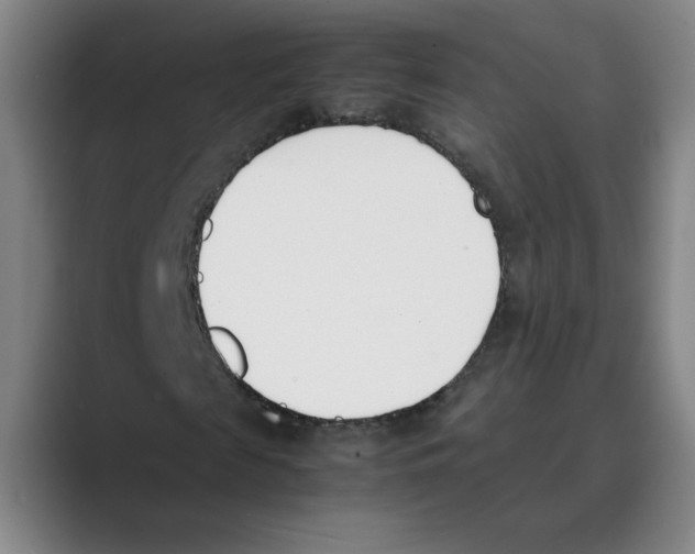 X0000088680817200706281940