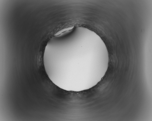 X0000088680818200706281940