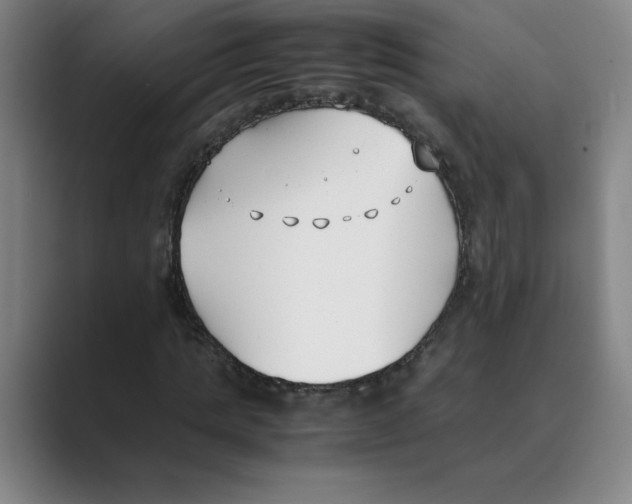 X0000088680821200706281940