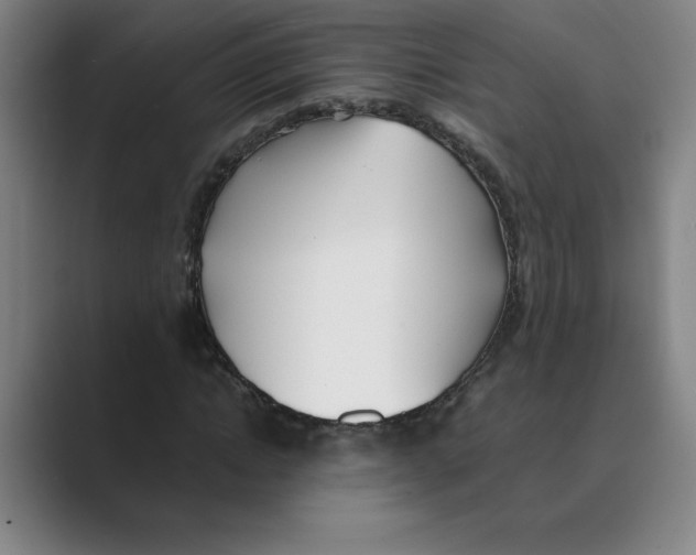 X0000088680822200706281940