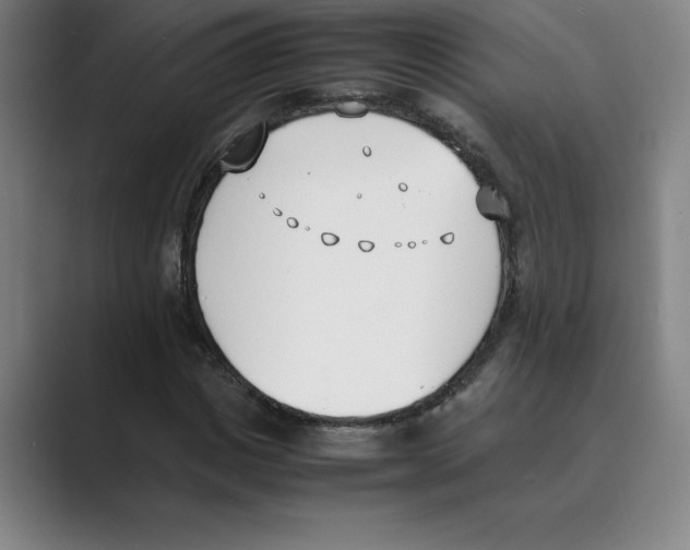 X0000088680825200706281940