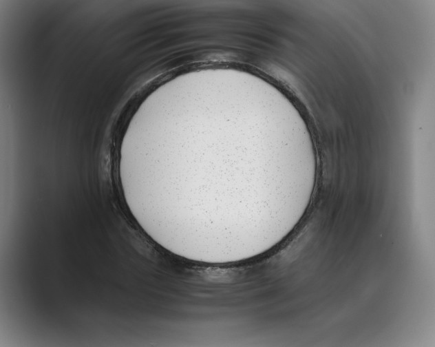 X0000088680827200706281940