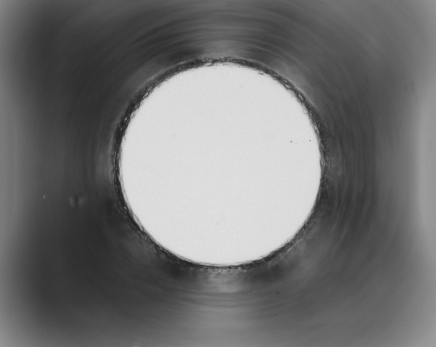 X0000088680832200706281940