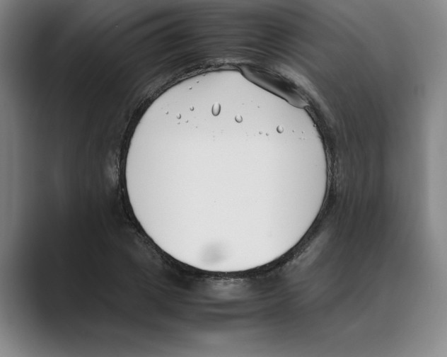 X0000088680833200706281940